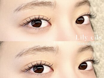 リリーシル(Lily cils)/フラットラッシュ100本