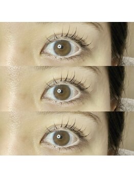 ボニータ(Bonita)/似合わせまつ毛パーマ上下