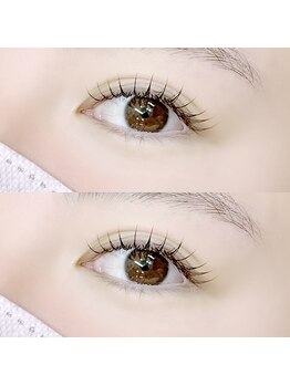 アウリー バイ ランズ(AULII by lands)/フラットラッシュ140本