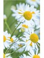 カモミール(CHAMOMILE)/林 正裕