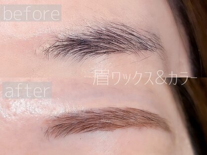 シュシュ(Shu Shu)の写真