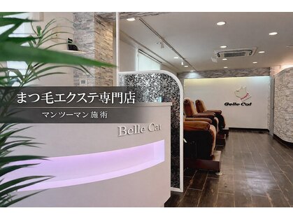 ベルキャット(Belle Cat)の写真