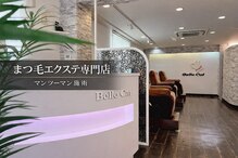 ベルキャット(Belle Cat)