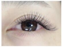 クプ アイラッシュプラス(qup)/5Dボリュームラッシュ80束