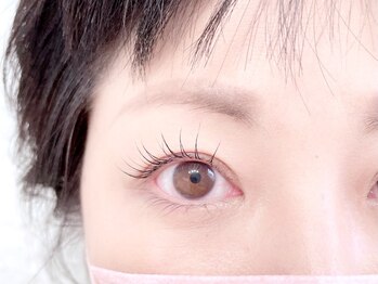 エルフ(elf)/上まつげパーマ/まつ毛パーマ