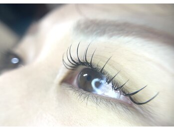 アバンテ シル(Avante_CIL)/フラットラッシュ120本