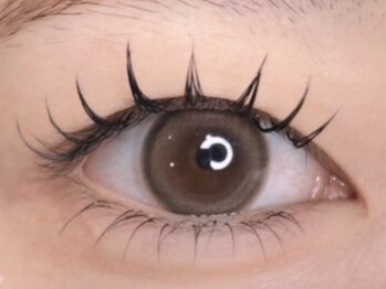 テント 町田店(tent)/【韓国風束感】120本★