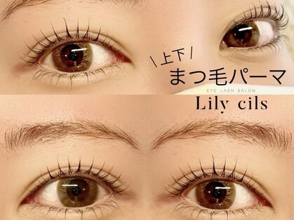 Lily cils [パリジェンヌ・フラットラッシュ・まつ毛パーマ]　　　の写真