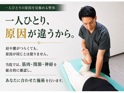 シオ 横浜関内(sio)の写真