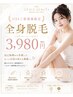 ▼学割U24限定【レディース/ご新規様】美肌全身脱毛 ¥22,000→破格の¥3,980!