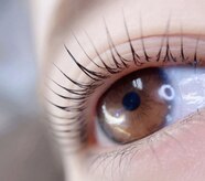 アイプラス(I plus)