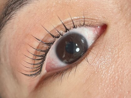 アイラッシュリング(EYELASH RING)の写真