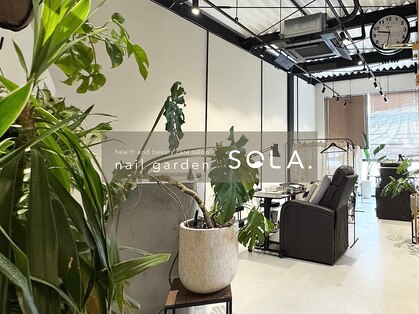 ソラ(SOLA.)の写真