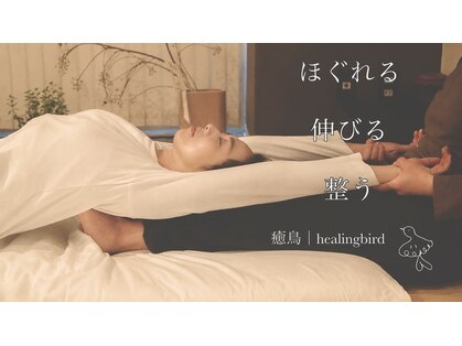 ヒーリングバード(healingbird)の写真