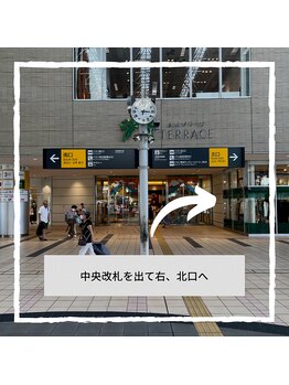 リリー タマプラーザ(Lily Tamaplaza)/道案内