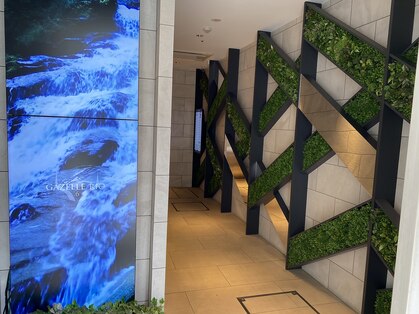 予心整体の写真