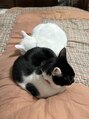 クレアラルーチェ 米子店(Crea la Luce)&nbsp;猫を2匹かっていて大好きです♪