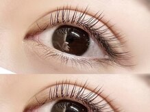 シュシュ(shushu)/フラットラッシュ120本