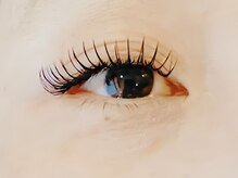 メイプル(MAPLE)/フラットラッシュ200本