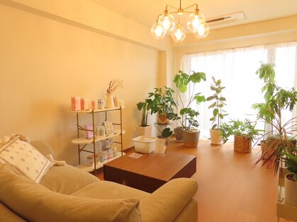 ルバート(rubato)の写真