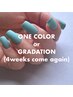 【4w以内】HAND/One color or Gradation