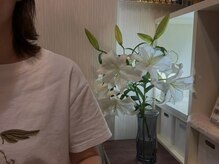 ショウウン(SHOUN)/