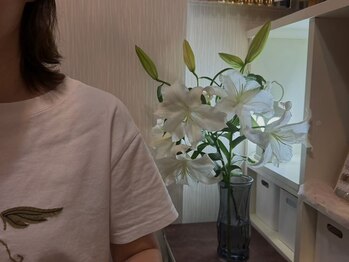 ショウウン(SHOUN)/