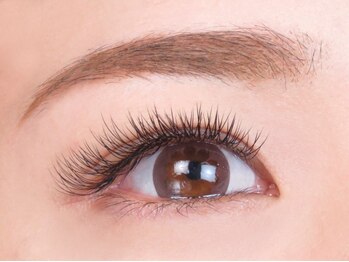 アイビューティーサロン アプリコット(Apricot)/Perfect Lash