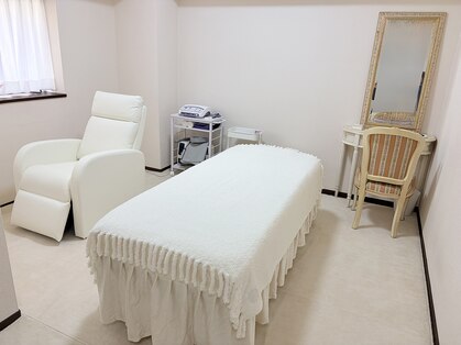 クローバー(clover)の写真