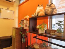 ほぐみん 南千住店/