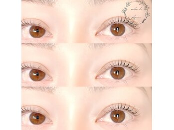 サロンドグリシーヌ 大塚(salon de glycine)/《パリジェンヌラッシュリフト》