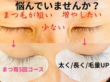 ハピネス(Happiness)