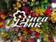 リネアリンク ウラワ(Linea Link Urawa)の写真