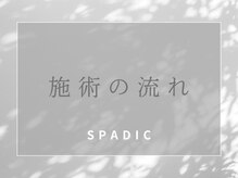 スペイディック(SPADIC)/