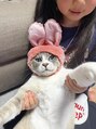 シュシュジプ(Chou2jip) 娘と猫が大好きです!