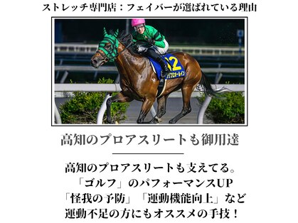 フェイバー(Favor)の写真