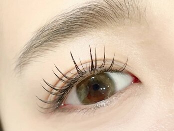 アイハビー 自由が丘(eyeHbe)/束感エクステ120本