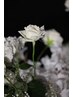 【オフのみ】自爪整爪＋ドライケア付き！ ¥3000