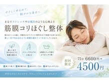 腰の整体インターセクション