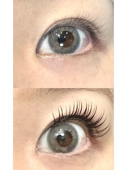 リグ(rig')/LEDフラットセーブルラッシュ