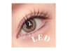 【new】LEDマツエク100本（すぐに洗顔可能）　フラットorセーブル¥6900