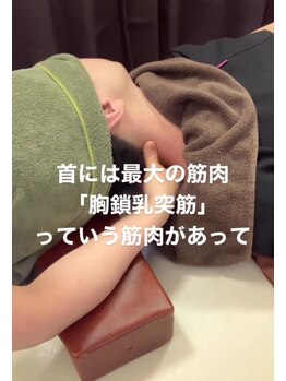 ツボミ(tubomi)/首には胸鎖乳突筋がある