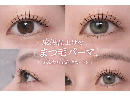 シャトン(Chaton)の写真