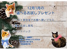 ★ミスト美容液★眉上お試し脱毛★ハンドパック★から1つ選択！