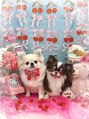 アトリエ リュエル(Atelier Ruelle)&nbsp;愛犬のチワワ。可愛いが止まりません笑