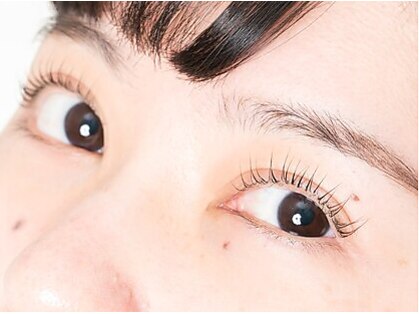 ピュット(pyt)の写真