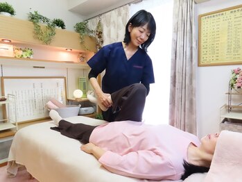 スノー シャイン(SNOW SHINE)/均整術