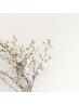 【上下マツエク】フラットラッシュ120本×下マツエク40本
