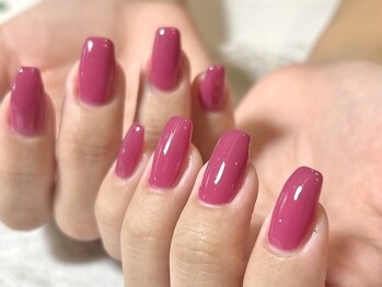 ジェルベーラ(Gerbera)/ワンカラー