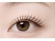 グローバルアイズ(Global Eyes)の写真/横浜駅直結/大人気/まつげ専門店【まつげパーマ3800円～/似合わせ まつげパーマ5100円～】